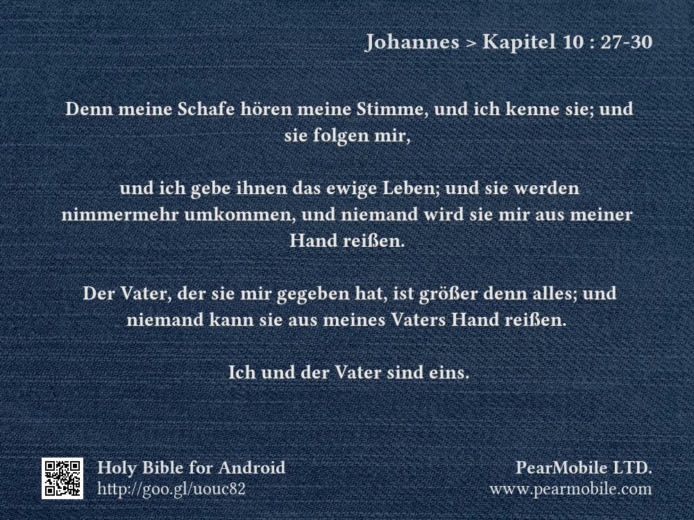 Johannes, Kapitel 10:27-30